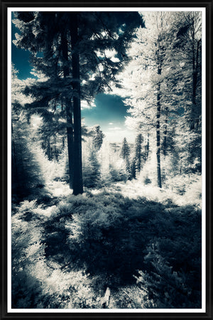 Spring Winter by Elinoz Sabus - 40" x 60" Framed