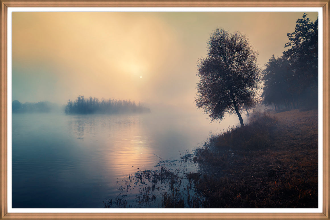 Mistry Mood by Elinoz Sabus - 60" x 40" Framed