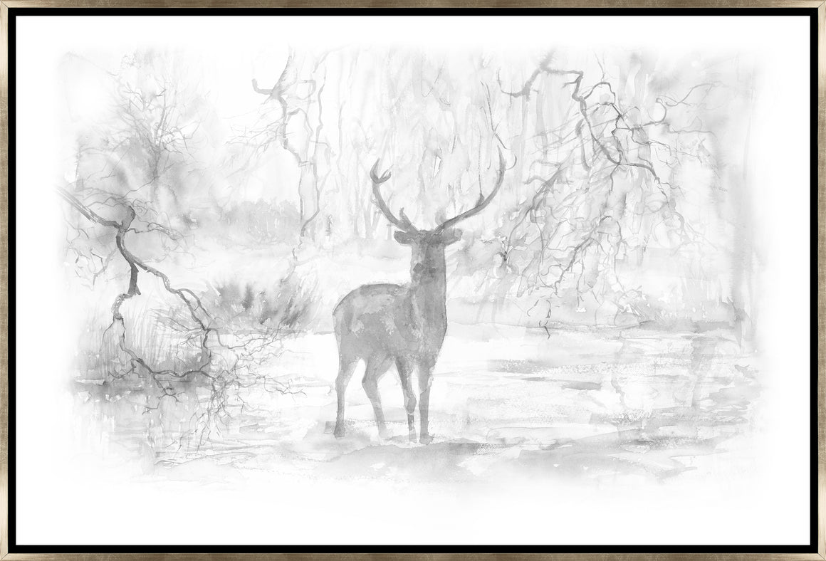 Wild Woodlands IV by Maelani Blue - 30" x 20" Framed