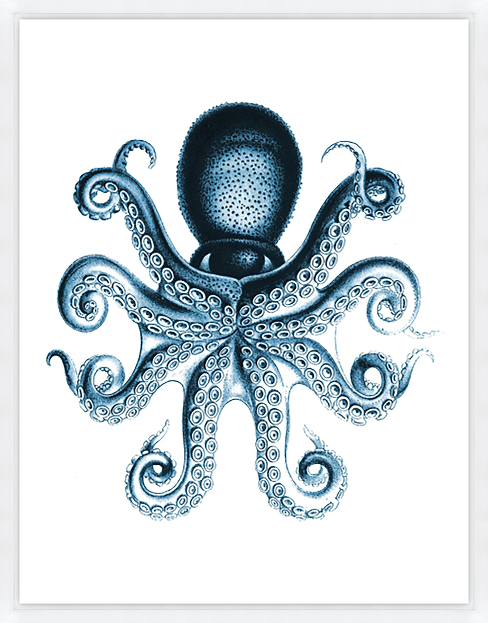 Blue Ink III by Sofia Fox - 20" x 26" Framed