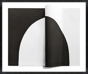 Inverted Forms II by Richard Ryder - 30" x 24" Framed