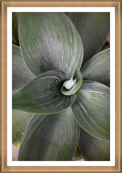 Embraced by Karyn Millet - 24"x 34" Framed