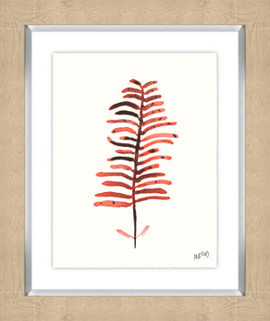 Plant Life VIII by M.G. Capps - 16" x 20" Framed