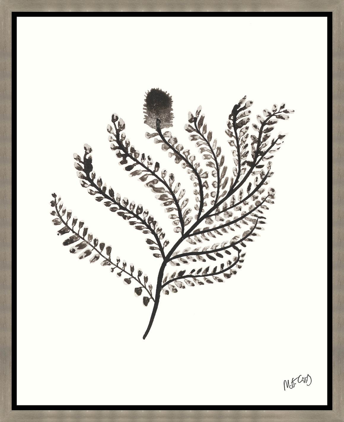 Plant Life XVII by M.G. Capps - 16" x 20" Framed