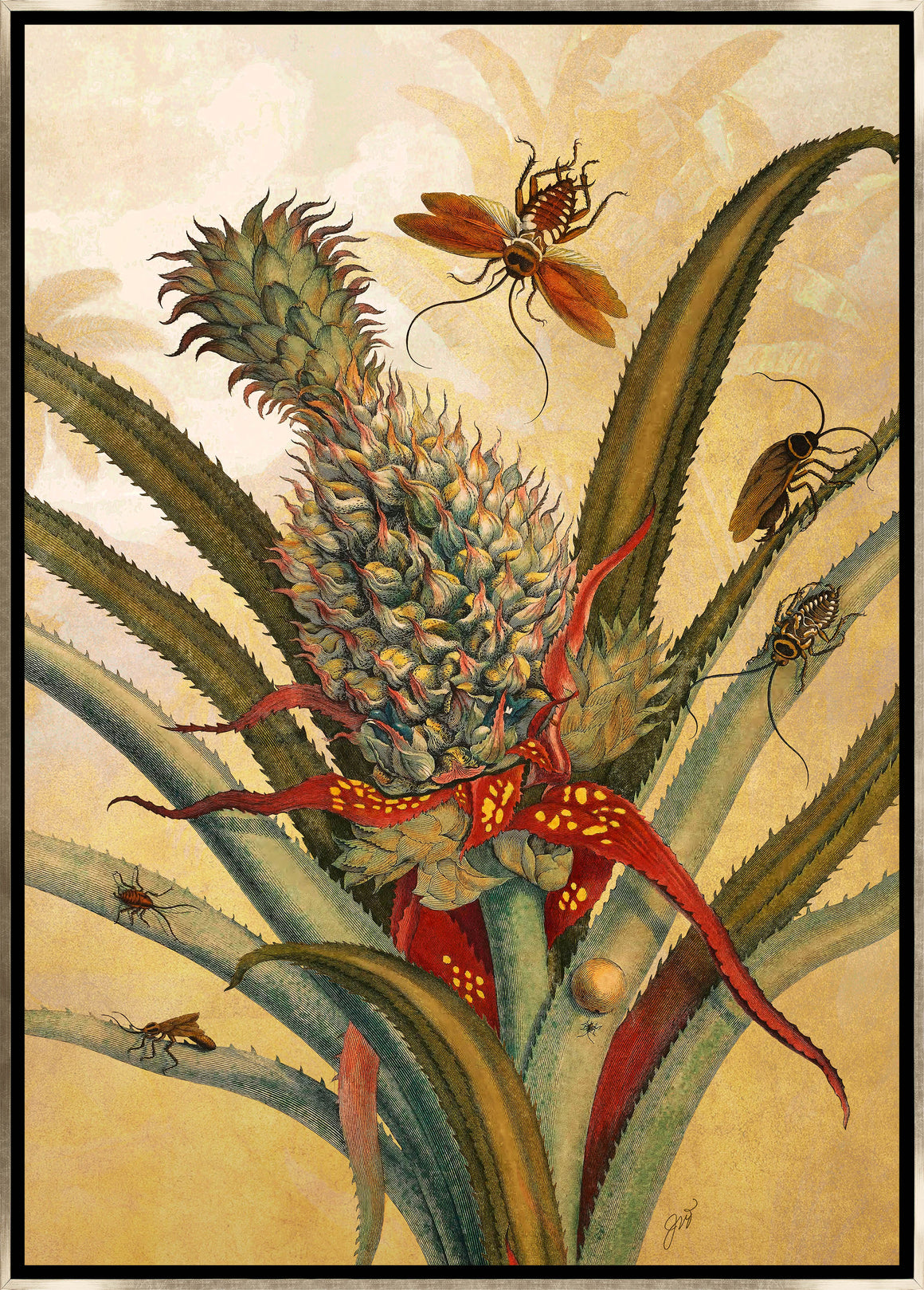 Curiosities I by Jackie Von Tobel - 24" x 34" Framed