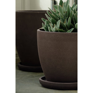 Carob Glazed Terra Cotta Bullet Planters - Set of 4