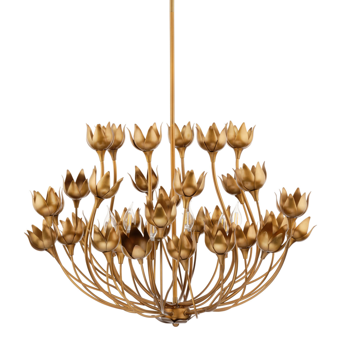 Dogwood Chandelier, Antique Brass