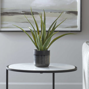 Uttermost Tucson Aloe Planter