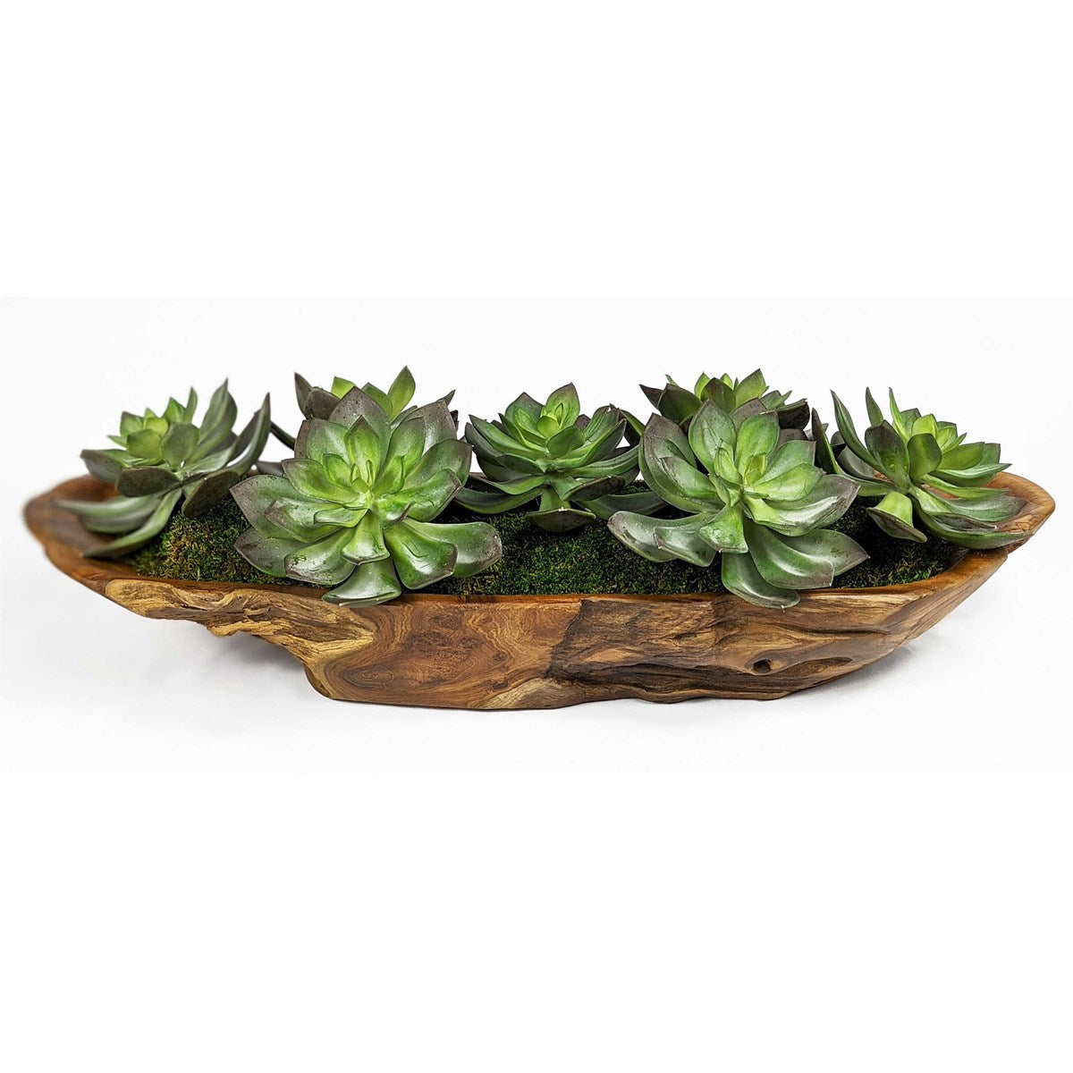 succulent the gloss Uttermost Yuma Succulent Centerpiece