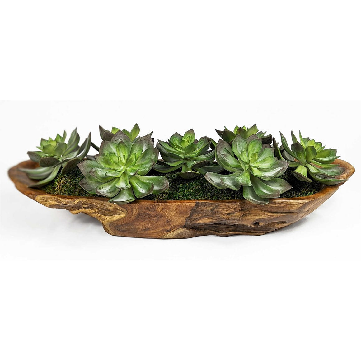 Uttermost Yuma Succulent Centerpiece