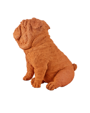 Leonard Churchill the Bulldog