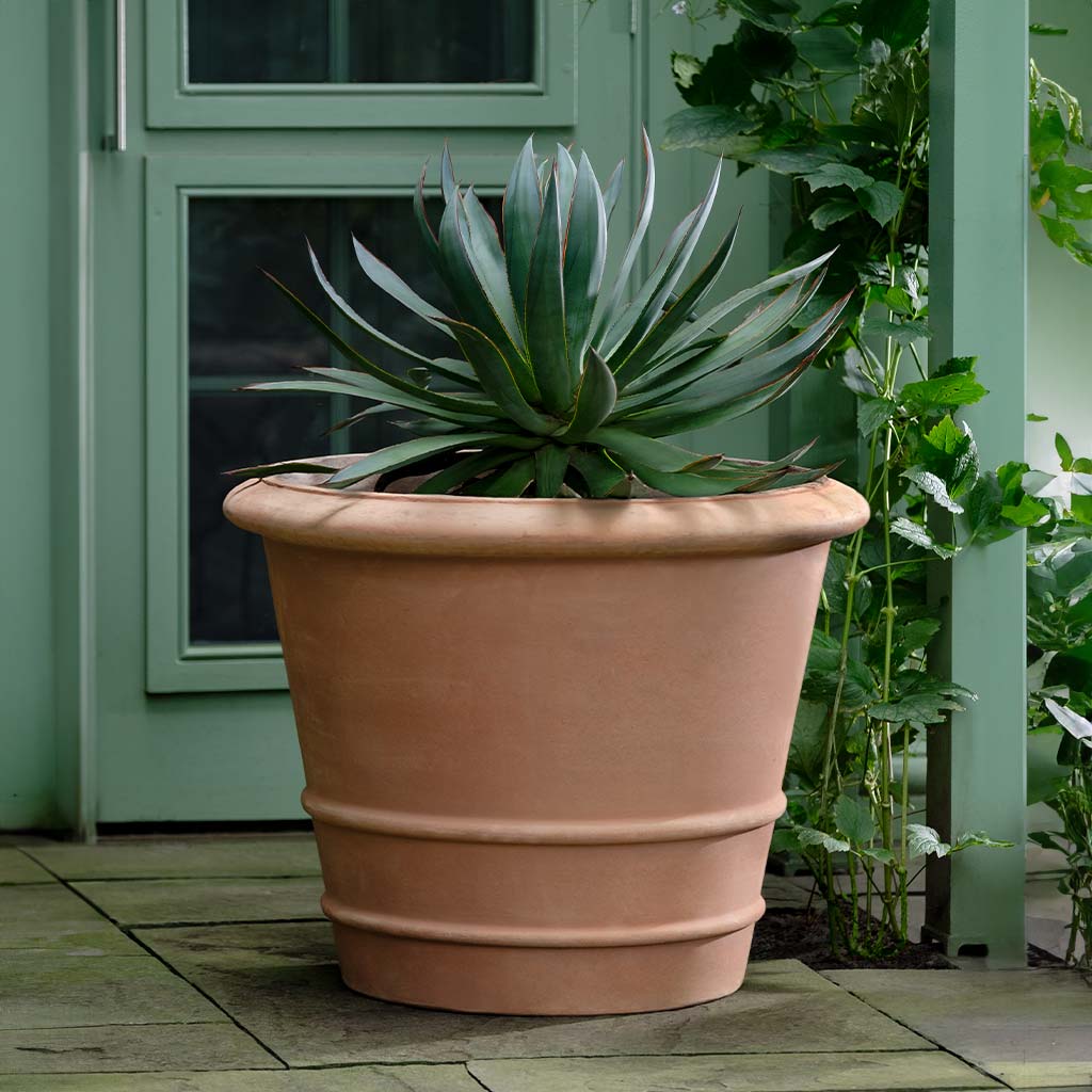 terracotta plastic planter Pienza Planter - Set of 1
