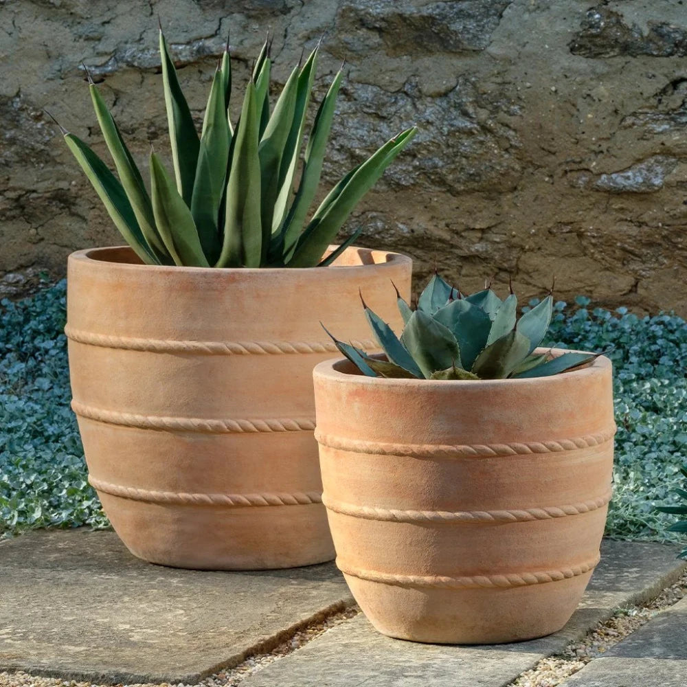 Two terracotta planters with succulents against a stone wall.