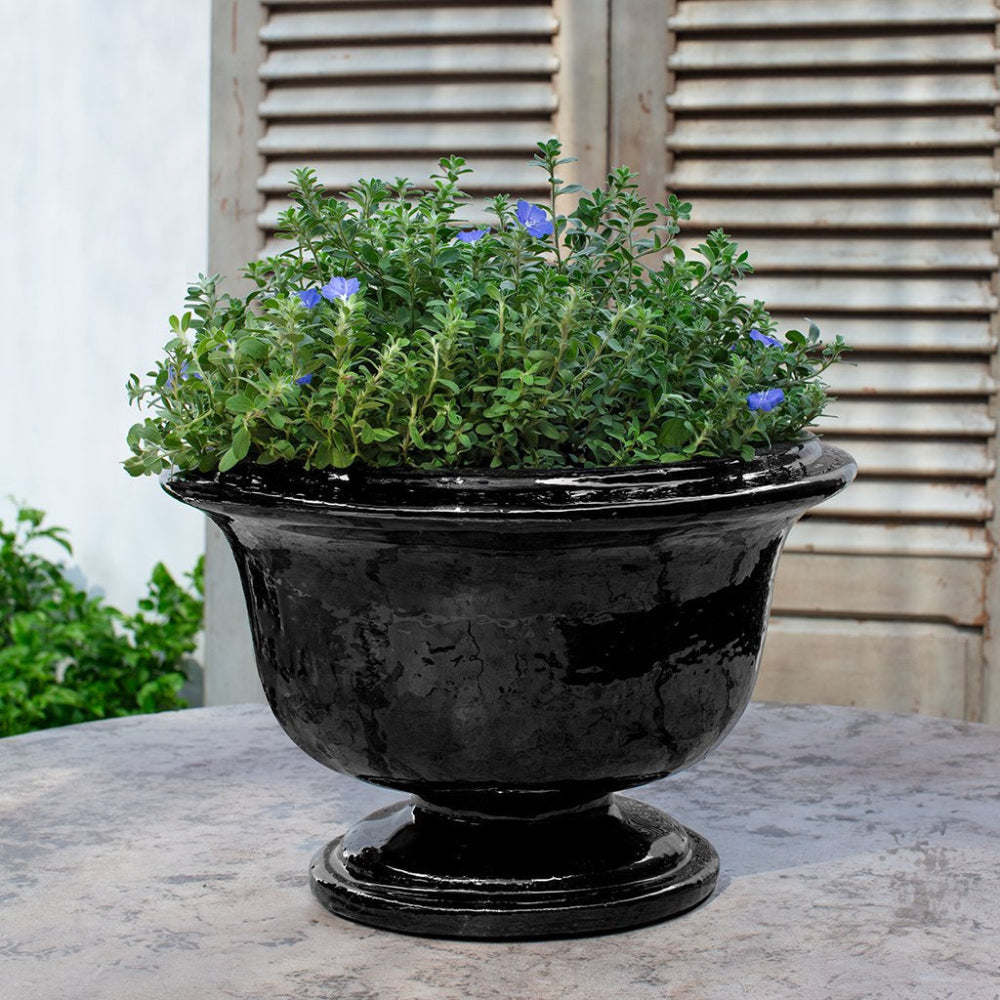 Black urn planter with green plants and blue flowers on a stone surface.