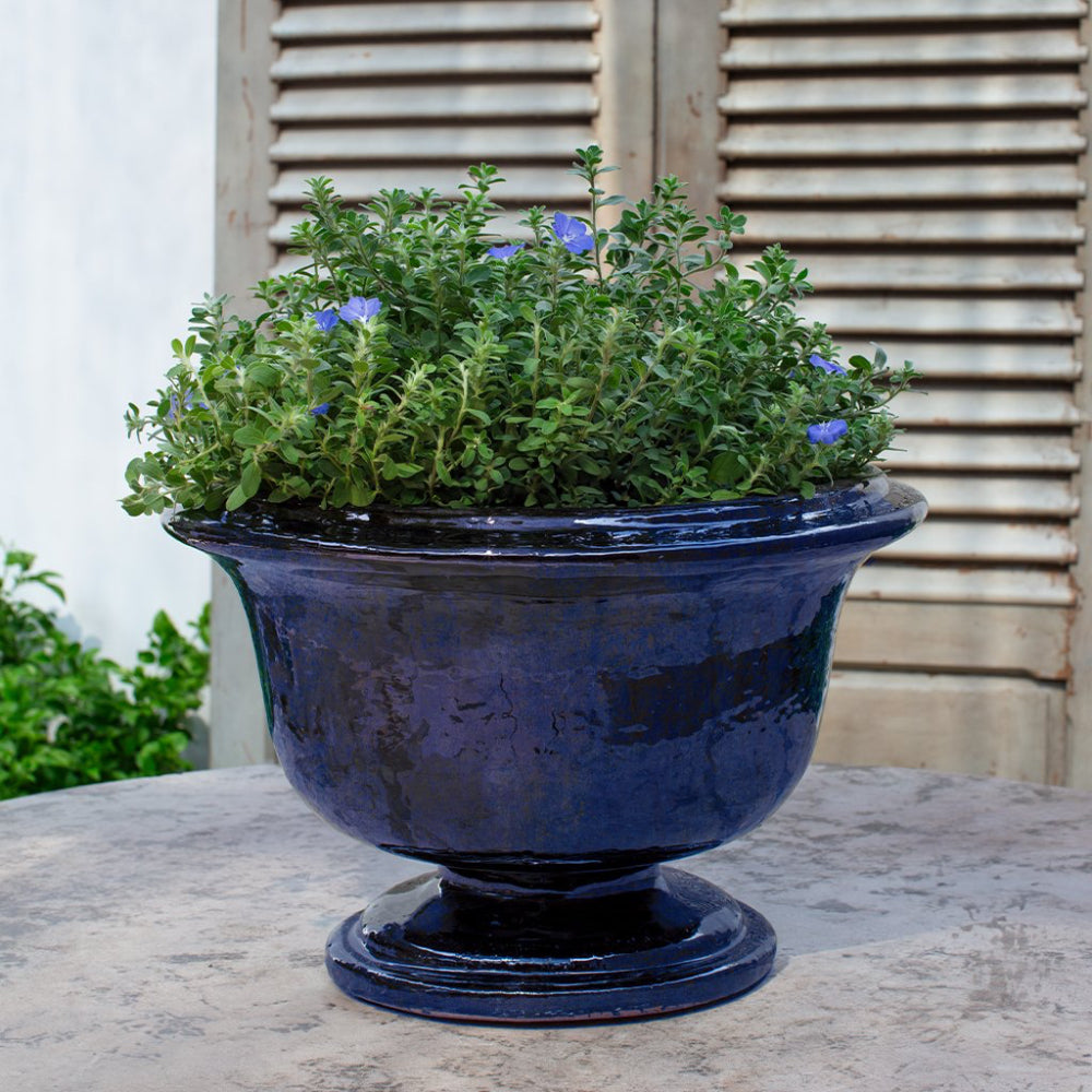 Deep blue urn planter with green plants and purple flowers against a wooden shutter background