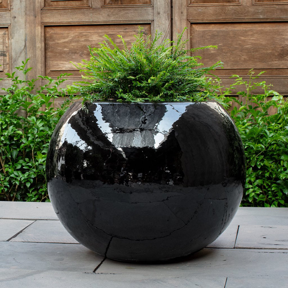 Le Monde Planter - Obsidian