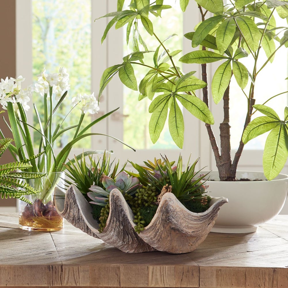 seaside succulent plants Uttermost Seaside Breeze Succulents