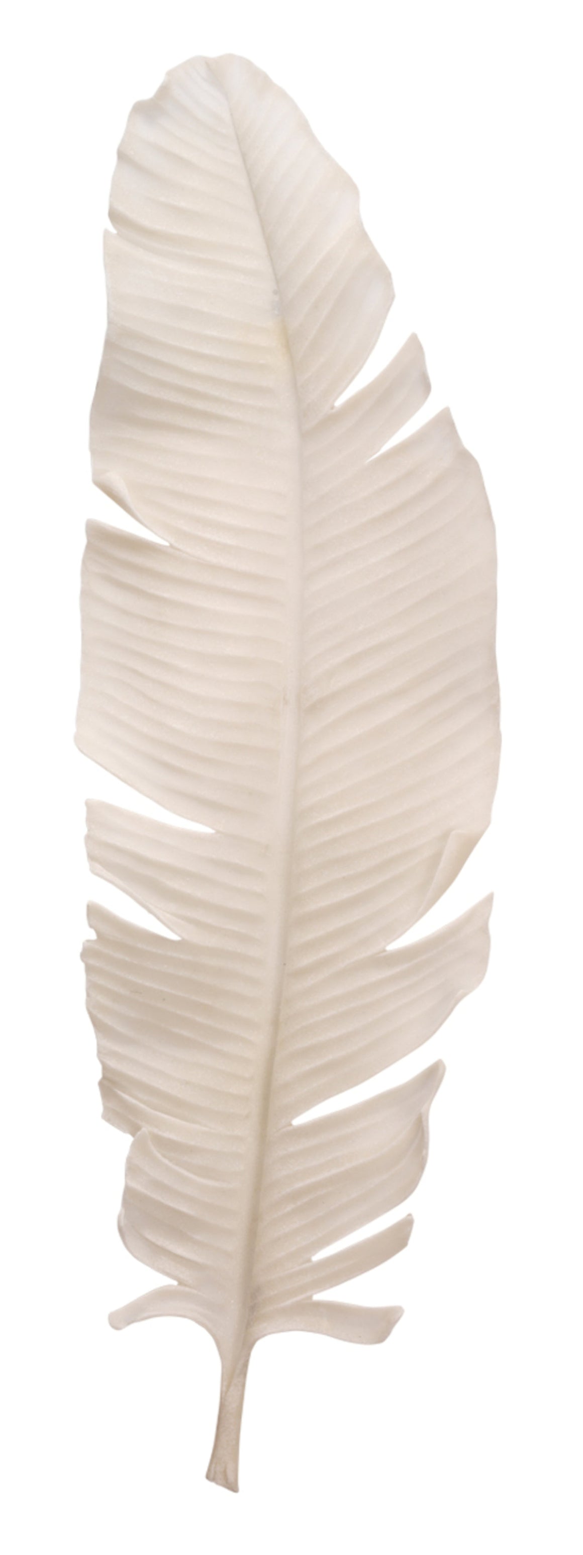 Feather Resin Decorative Object