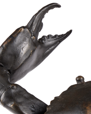 Crab Bronze