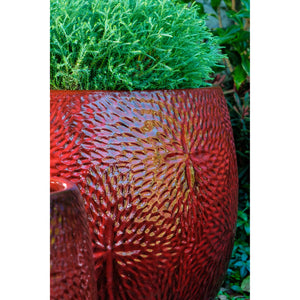 Tropic Red Glazed Sand Dollar Planters – Set of 4