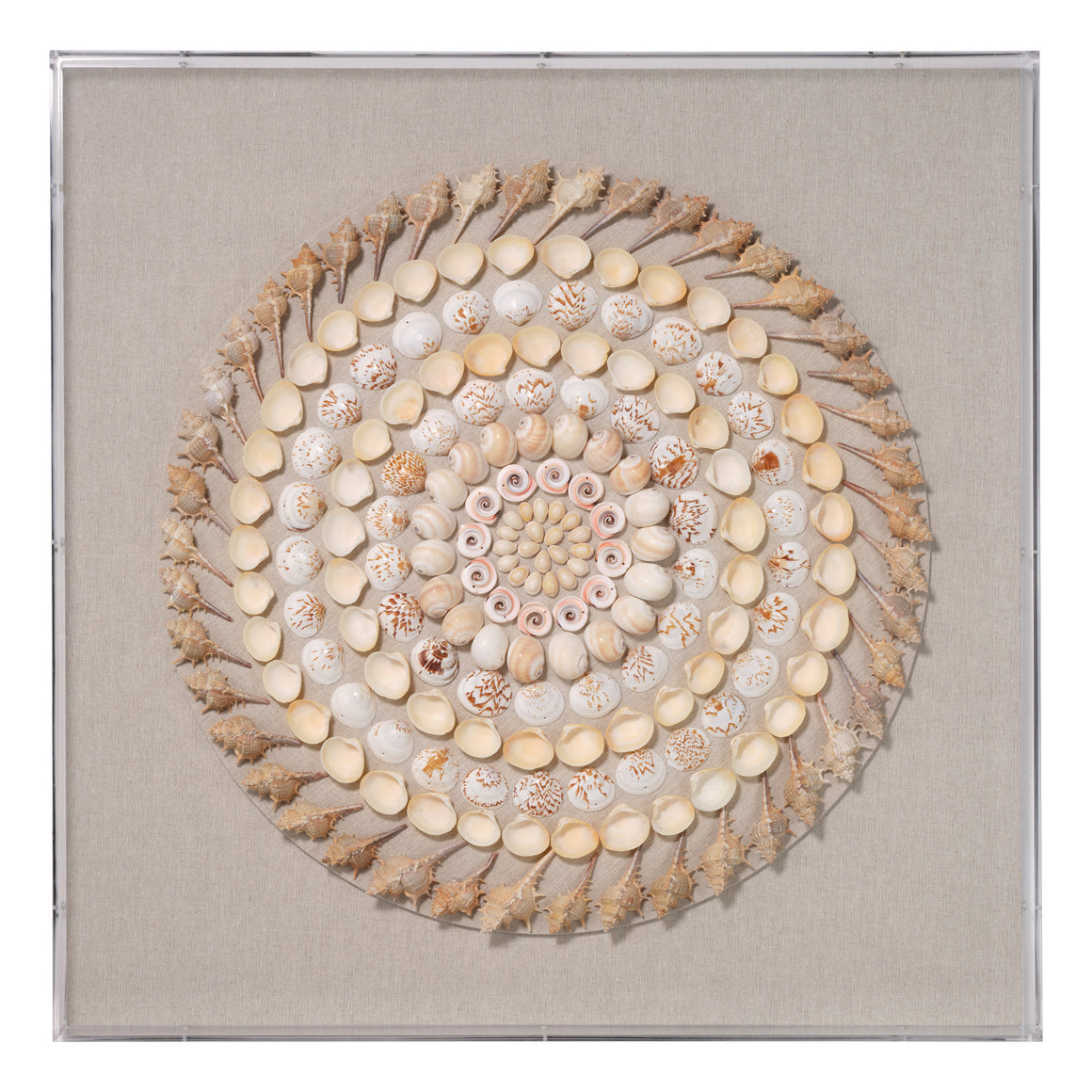 Outer Banks Wall Art, Cream and Natural Shell