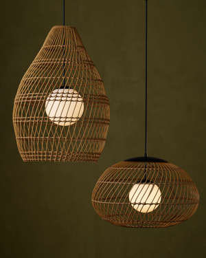 Fishtrap Outdoor Pendant
