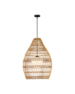 Fishtrap Outdoor Pendant