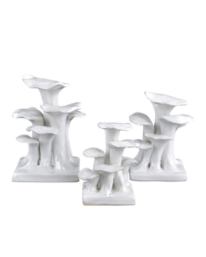 Ivory Lichens Set of 3
