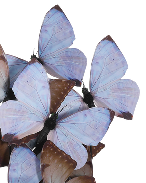 Rue de Bac Lilac Medium Butterflies