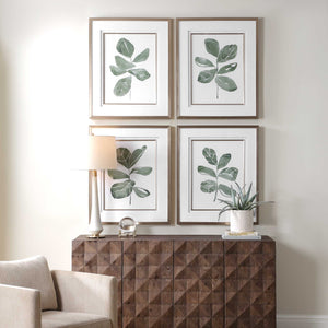 Uttermost Fiddle Head Leaf Botanical Prints Set/4