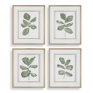 Uttermost Fiddle Head Leaf Botanical Prints Set/4