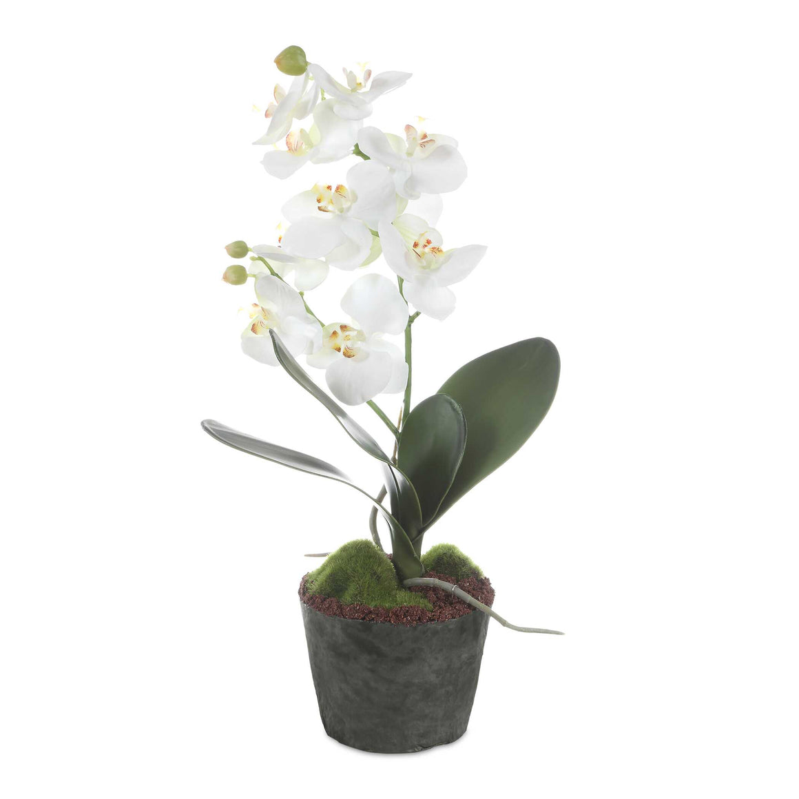 Uttermost Laris Orchid Drop-In