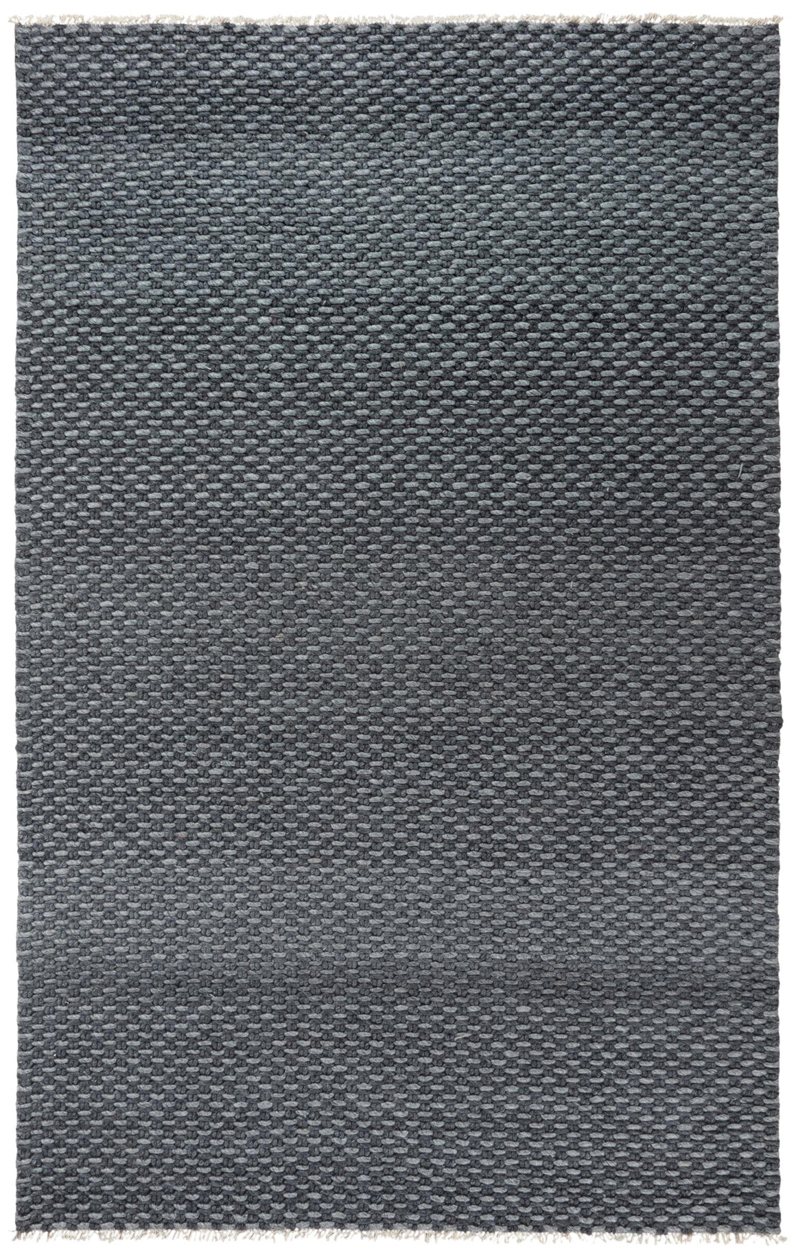 Rizzy Capri CPI102 Area Rug