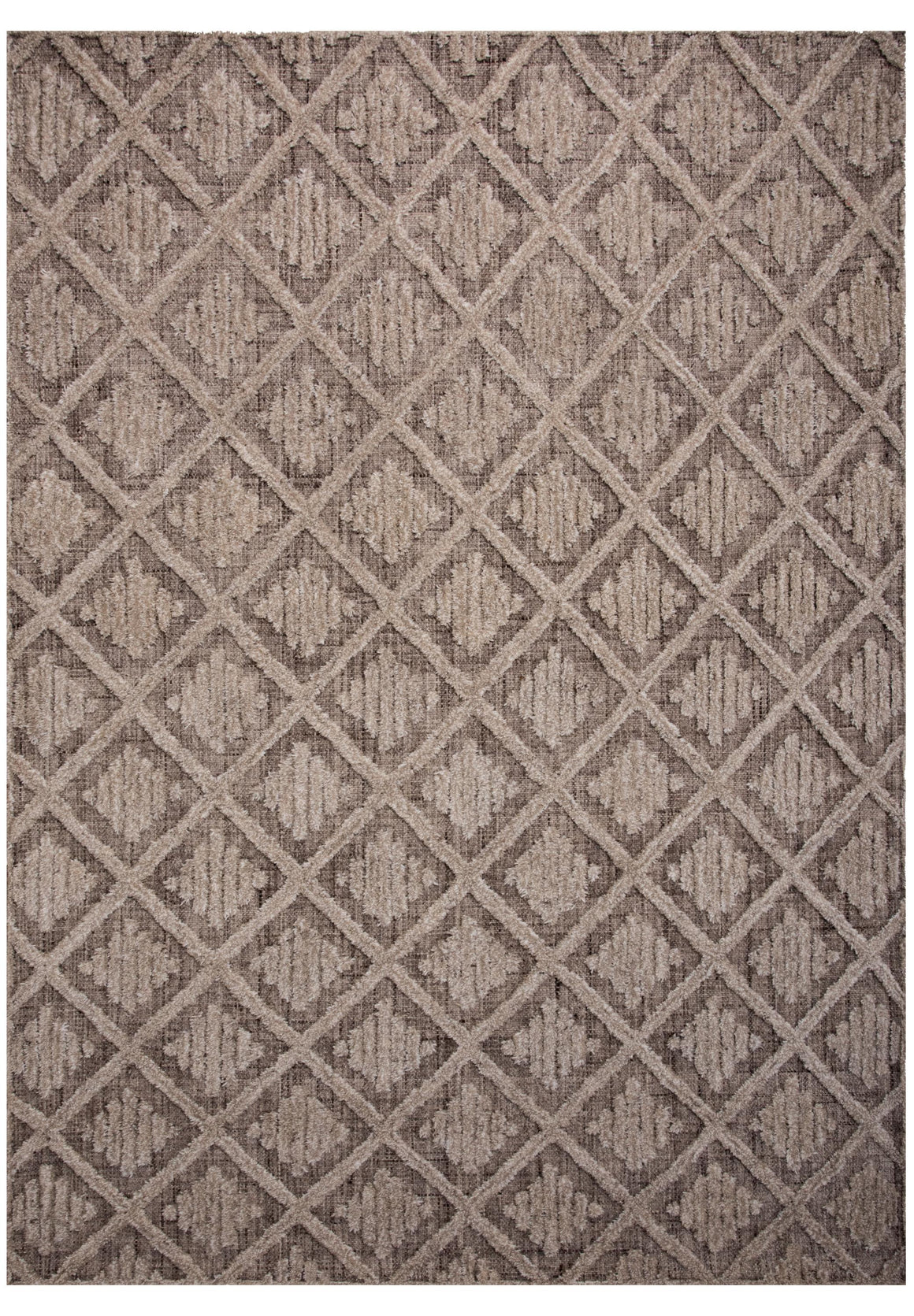 Rizzy Driftwood DRI688 Area Rug