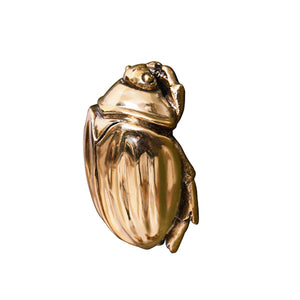 Beetle Knob in Brass