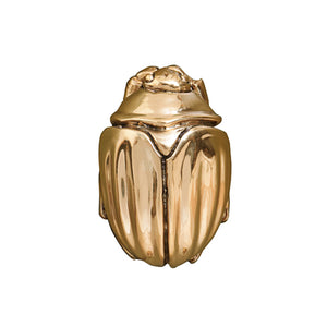 Beetle Knob in Brass