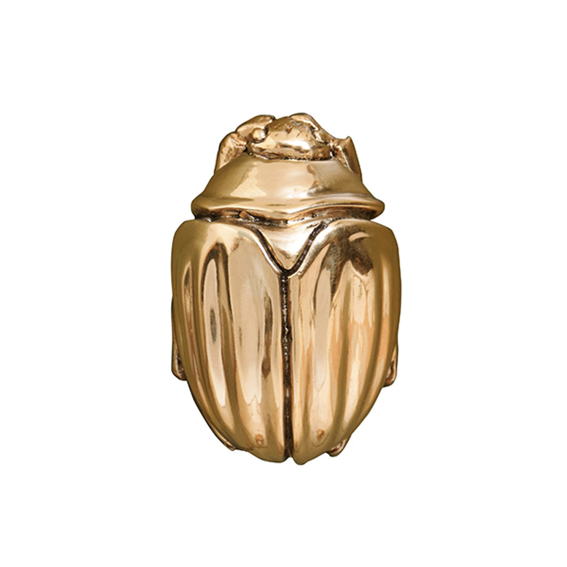 Beetle Knob in Brass