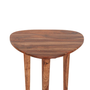 Arrey 23" Side Table in Indian Rosewood with Natural Finish