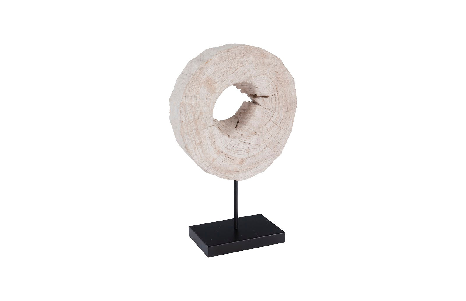 Eroded Wood Circle Sculpture on Stand , Assorted
