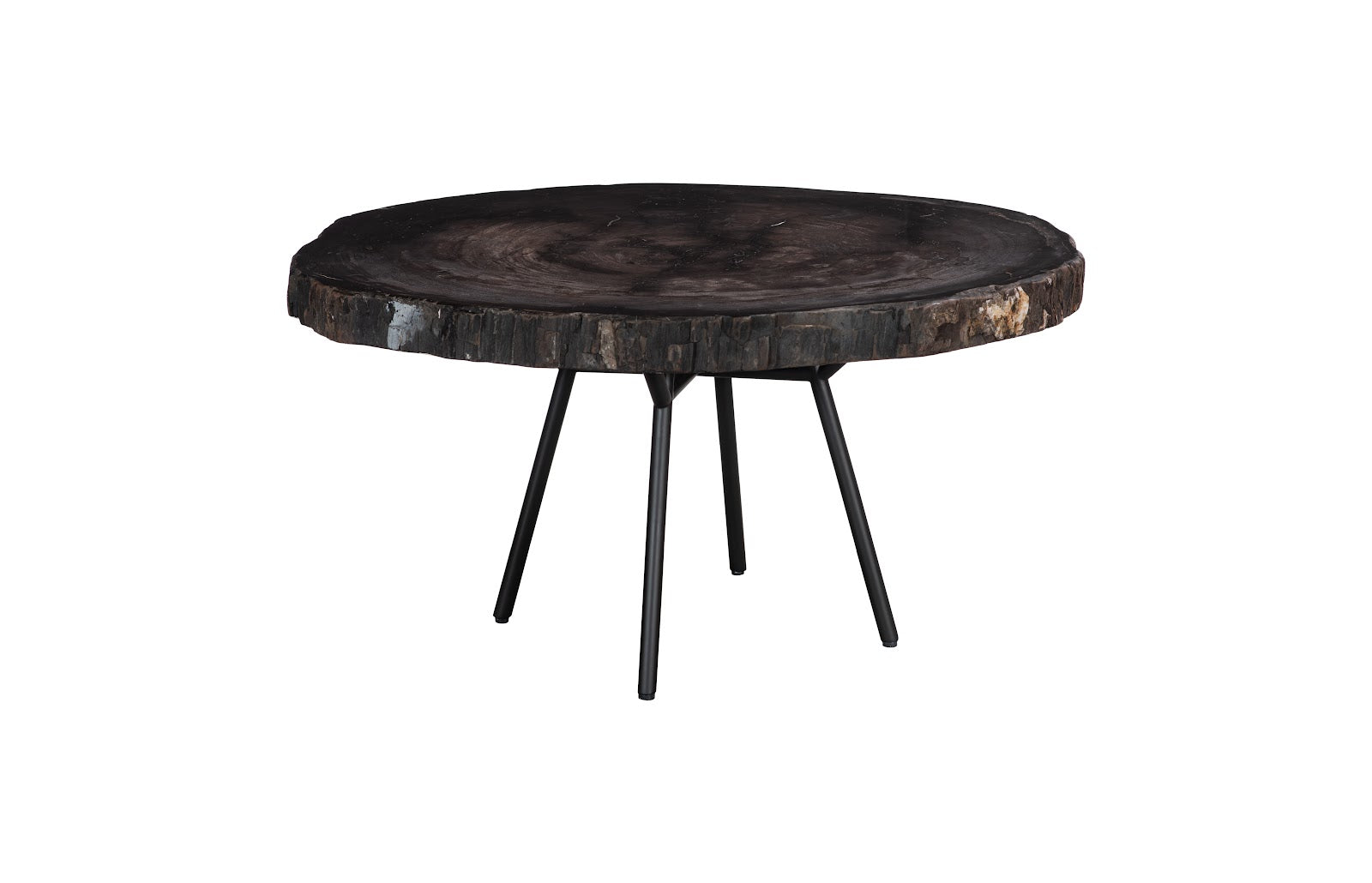 Petrified Coffee Table, Round, Metal Black Base