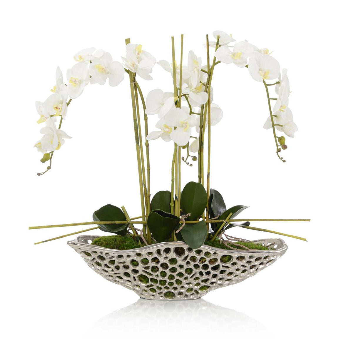 Orchid Display