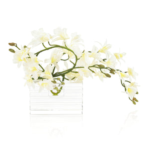 Rock Crystal Orchids