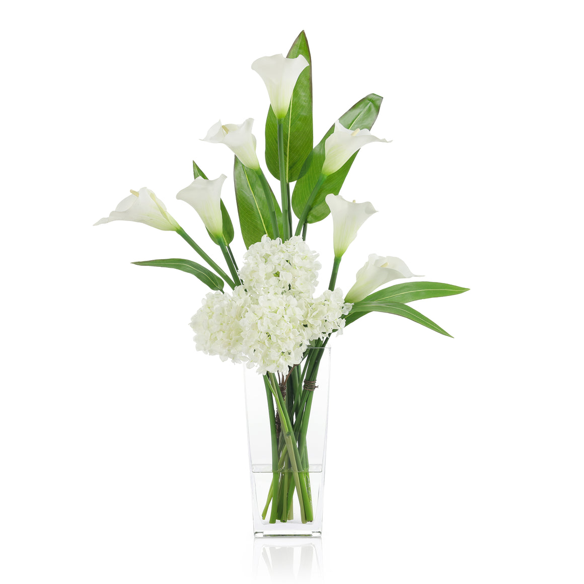 Callas and Pickerel