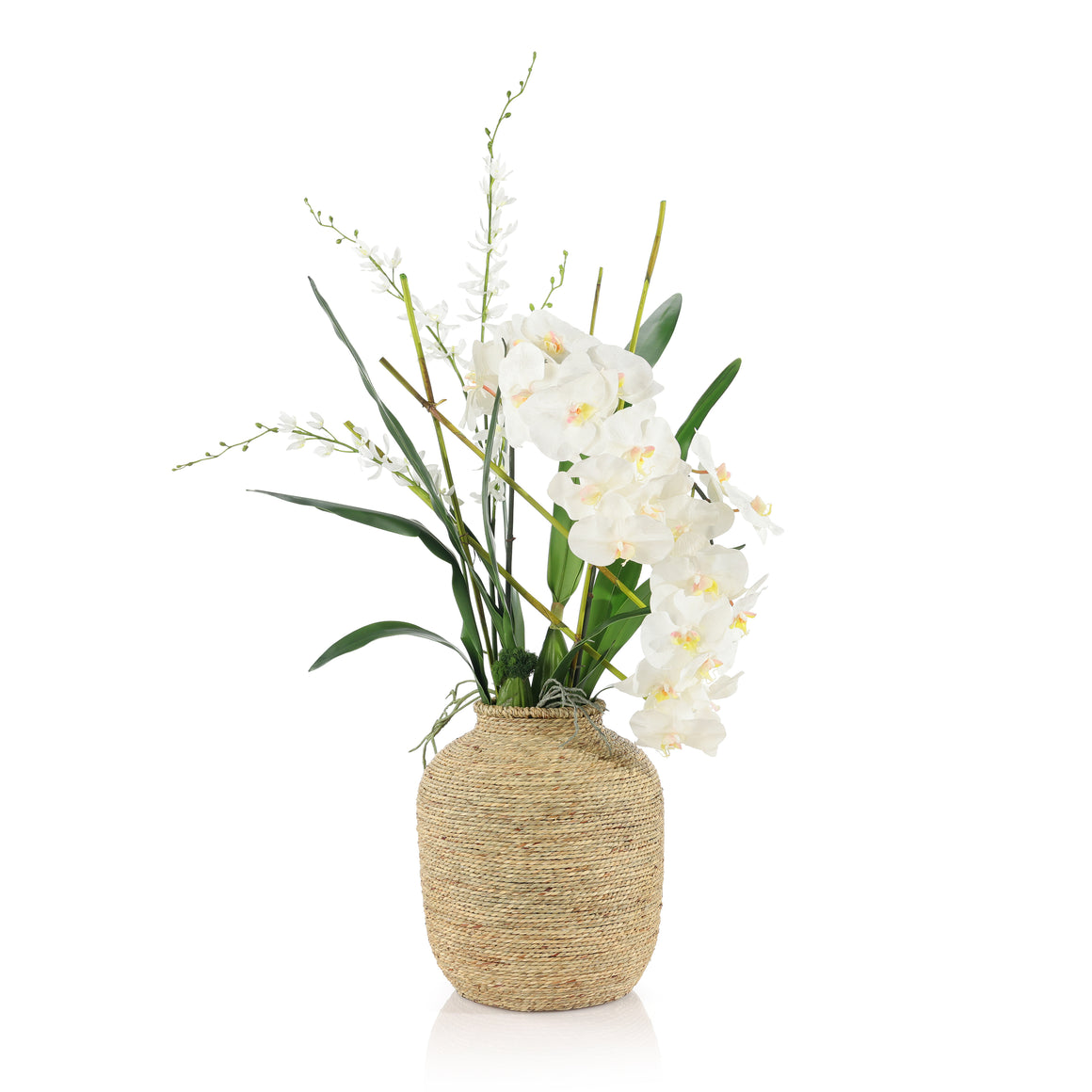 Tahitian Orchids