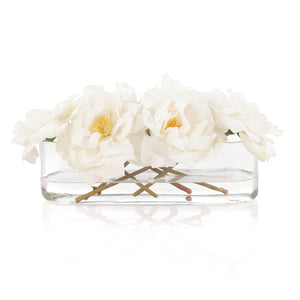 Graceful Roses