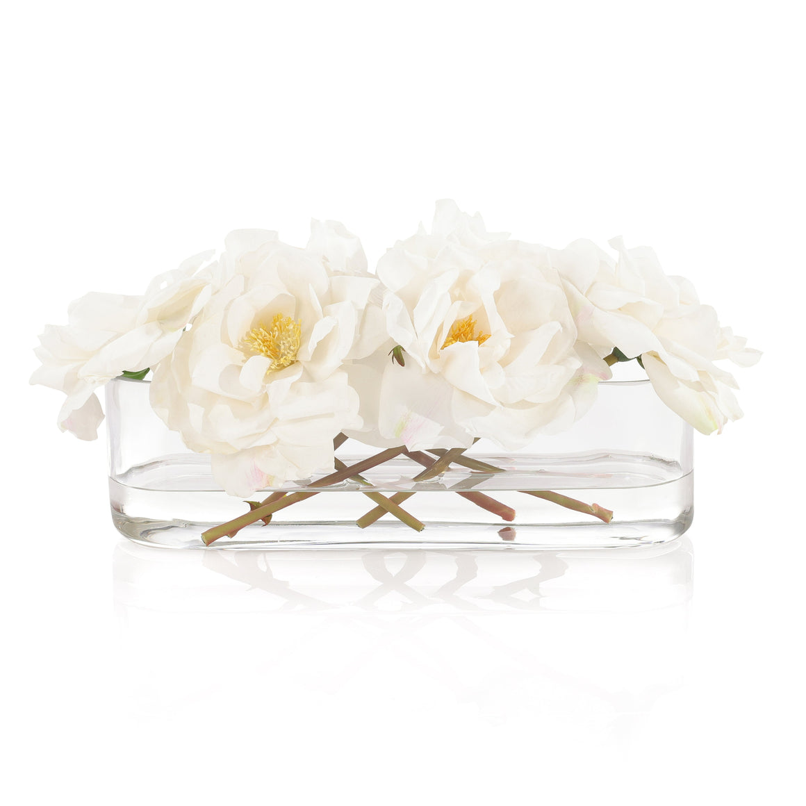 Graceful Roses