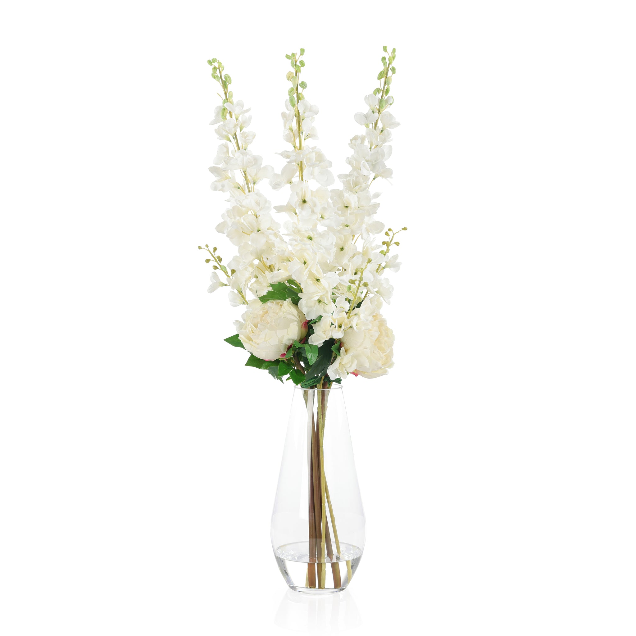 Delphinium Dreams