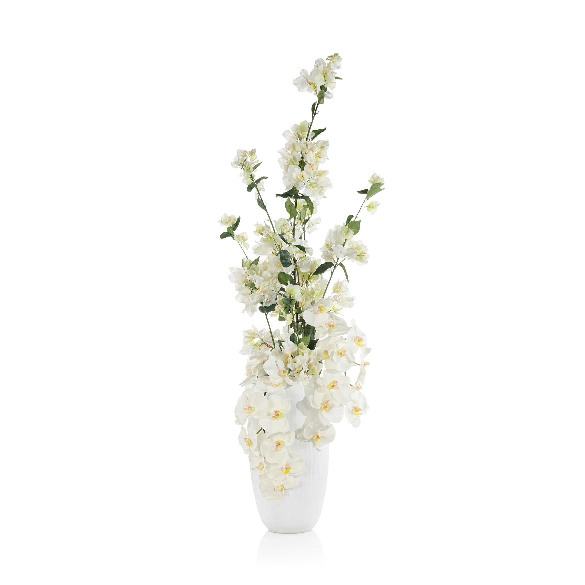 Snowy Bougainvillea and Orchids