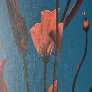 Teng Fei's Sunset Blooms