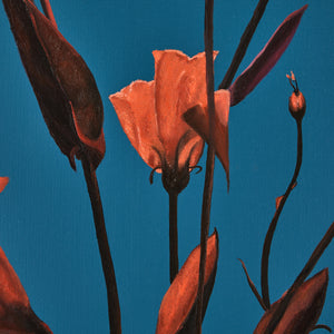 Teng Fei's Sunset Blooms